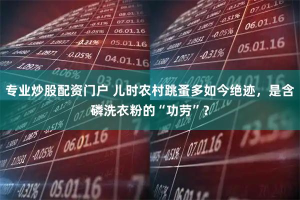 专业炒股配资门户 儿时农村跳蚤多如今绝迹，是含磷洗衣粉的“功劳”？